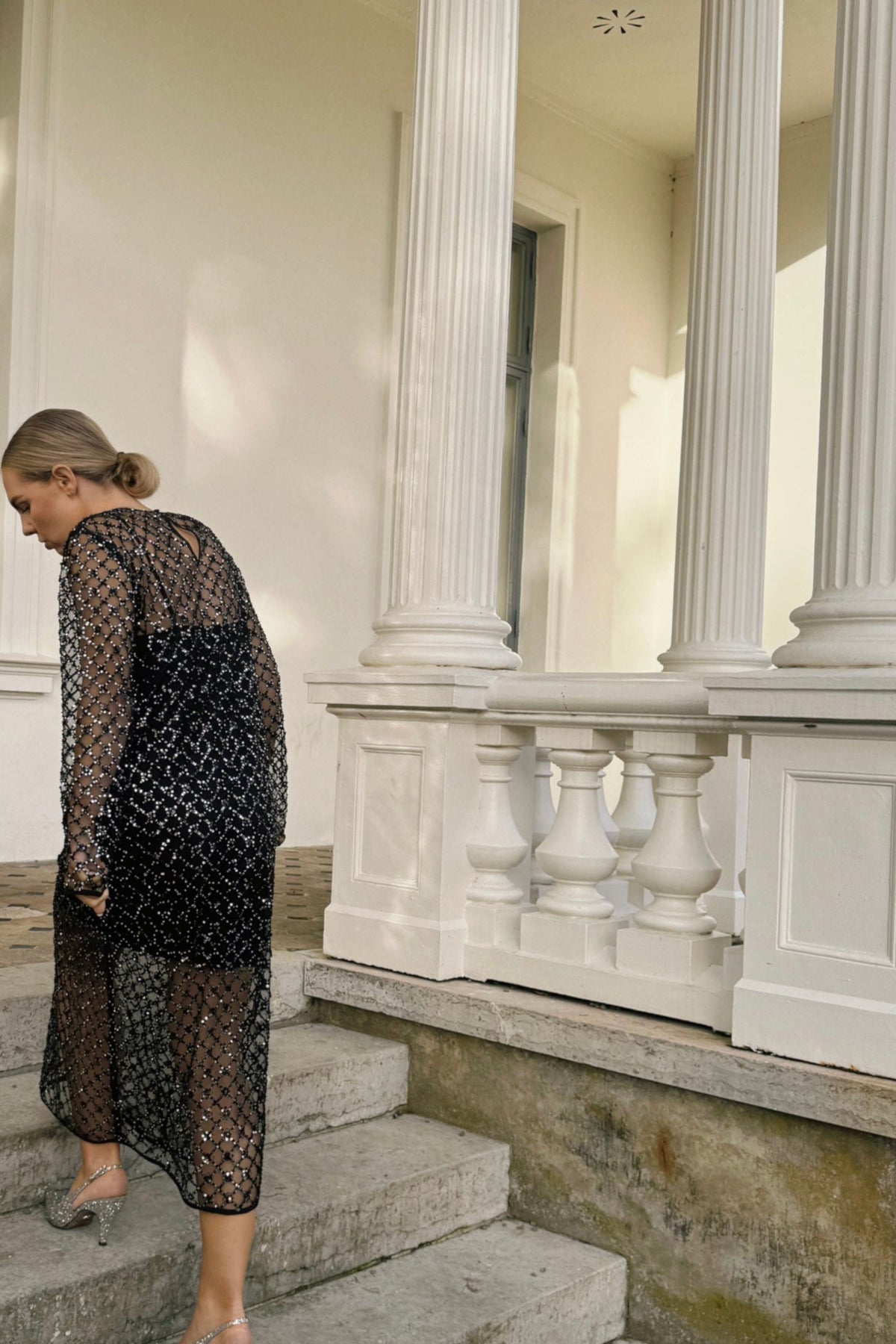 The Sequin Mesh Dress